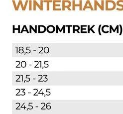 Beste Verkoop ???? Luxe Winter Handschoen - Warm Door Dikke Stof En Thinsulate - Waterproof - Windvrij - Touchscreen Fietshandschoen - Reflecterend - Unisex - R2 R2 - Storm Winter Fietshandschoenen - Zwart - Maat S / 6 ✨ -AGU WINKLE 550x229 2