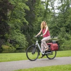 Groothandel 🧨 New Looxs Forest Joli Dubbele Fietstas - 37 Liter Rood ❤️ -AGU WINKLE 550x366 137