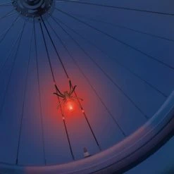 Hete verkoop ???? Toi-toys Bicycool Fietsspaaklicht Spin ???? -AGU WINKLE 550x550 222