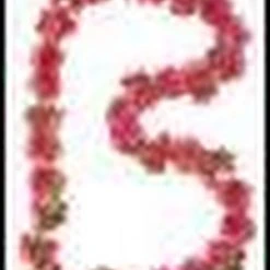 Top 10 π Basil Flower Garland Bloemenstreng - Roze β¨ 6 Top 10 π Basil Flower Garland Bloemenstreng - Roze β¨ -AGU WINKLE 550x774 2