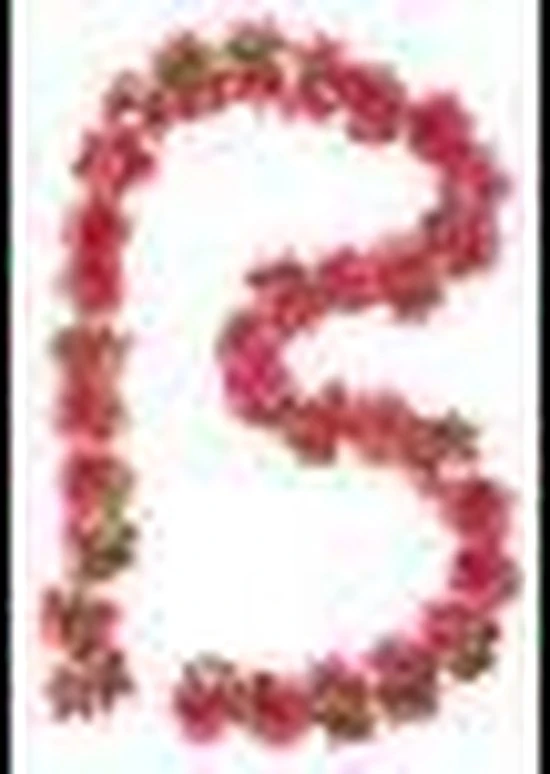 Top 10 π Basil Flower Garland Bloemenstreng - Roze β¨ 3 Top 10 π Basil Flower Garland Bloemenstreng - Roze β¨ - Afbeelding 3